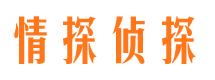 中方市调查公司